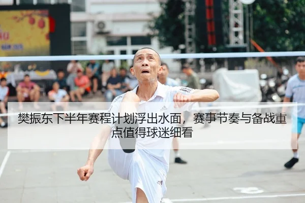 樊振东下半年赛程计划浮出水面，赛事节奏与备战重点值得球迷细看